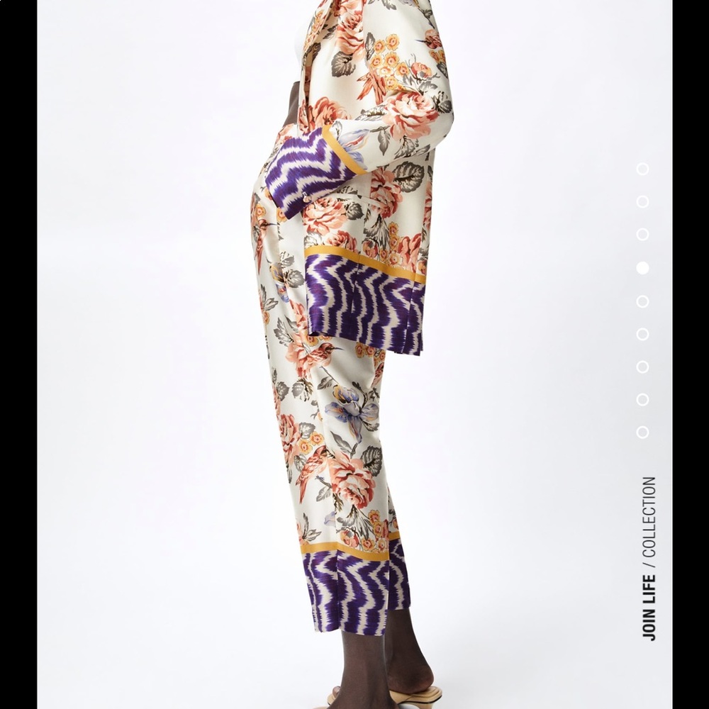 NWT Bloggers Favorite Zara Printed Pants